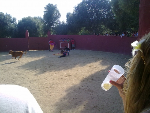 Disfrutando del espectaculo con la vaquilla